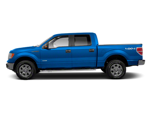 2010 Ford F-150 FX2