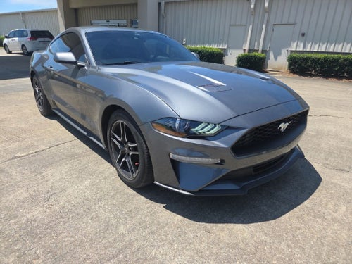 2023 Ford Mustang EcoBoost