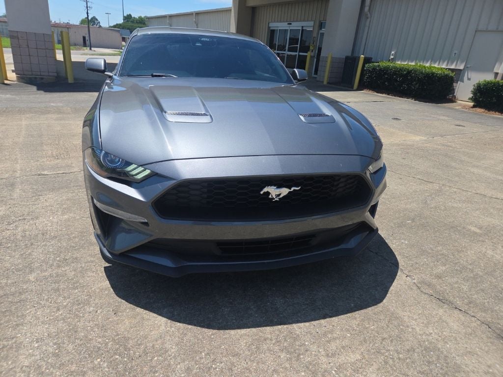 2023 Ford Mustang EcoBoost