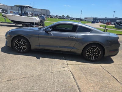2023 Ford Mustang EcoBoost