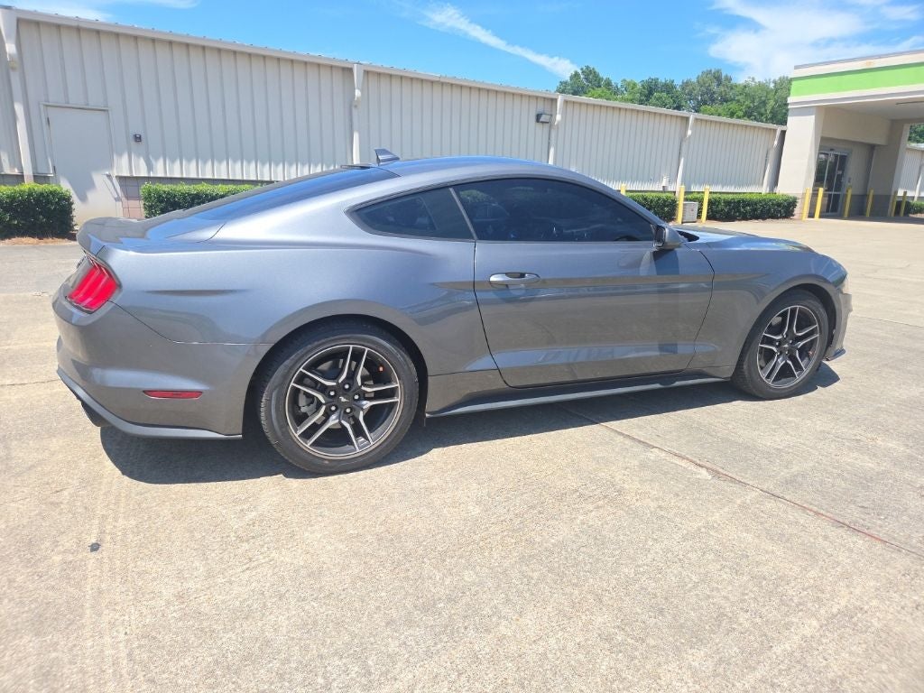2023 Ford Mustang EcoBoost