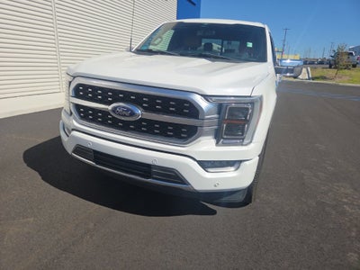 2023 Ford F-150 Platinum