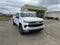 2023 Chevrolet Silverado 1500 LT LT1
