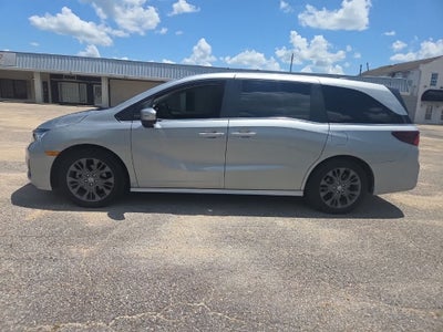 2025 Honda Odyssey Touring